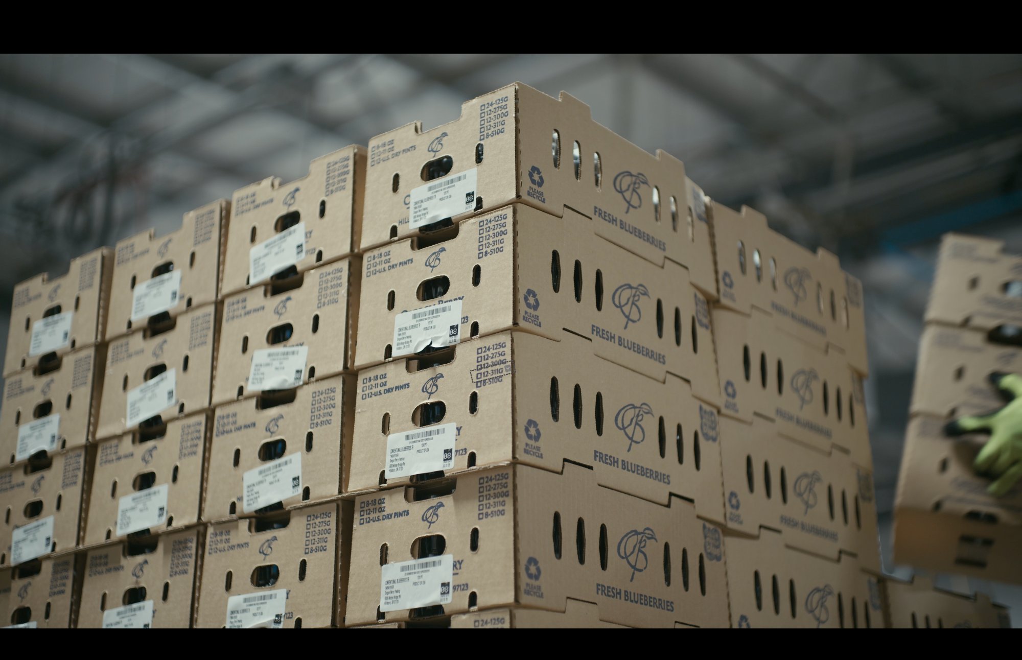 Blueberries loaded for a refrigerated lane